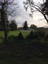 Scenic view of grassy field against cloudy sky