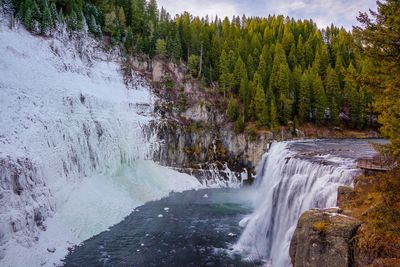 Scenic view of waterfall in forest