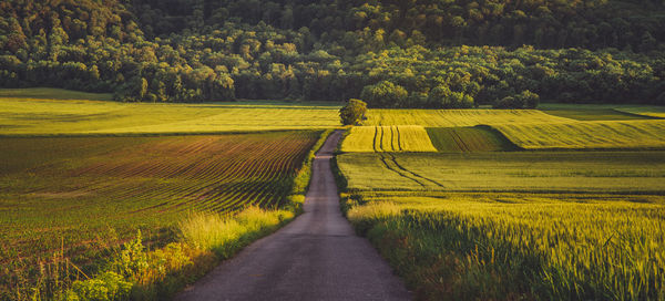 Road across summer countryside in austria