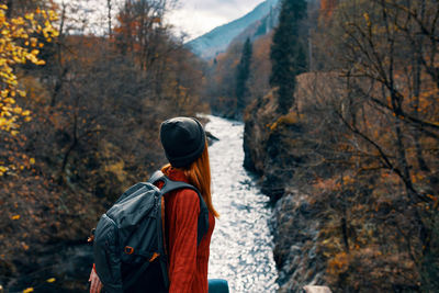 Rear view of man looking at forest