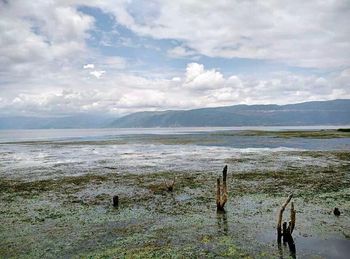 Scenic view of sea against cloudy sky