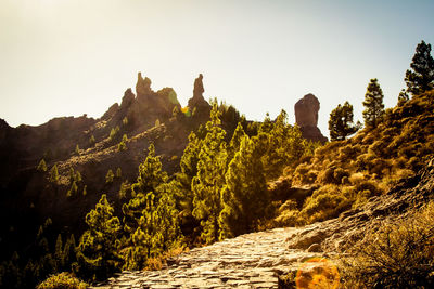 Scenic view of mountain against clear sky