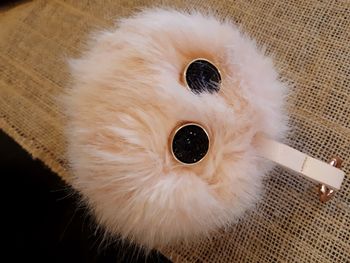 High angle portrait of a dog