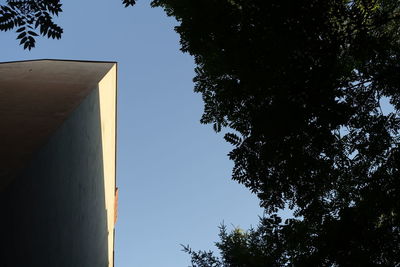 Low angle view of trees against clear sky