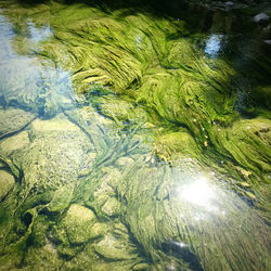 High angle view of water flowing through rocks
