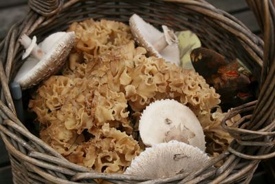 High angle view of eggs in basket