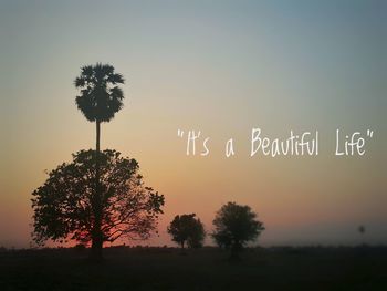 Silhouette trees on field against sky during sunset