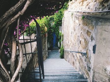 Narrow walkway leading to footpath