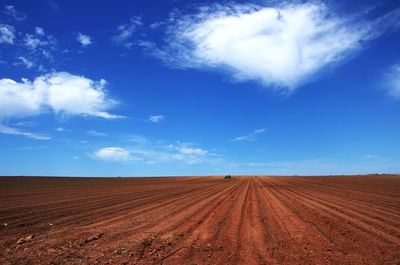 horizon
