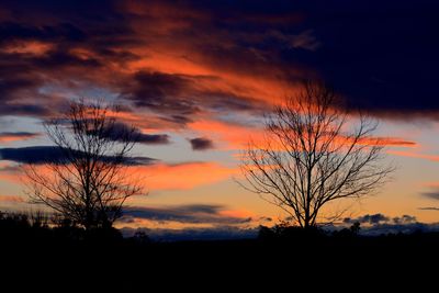 Silhouette of bare tree against cloudy sky