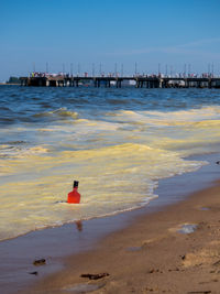 Rear view of person on beach against sky