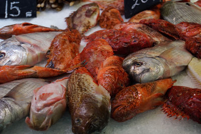 Close-up of seafood for sale at market stall