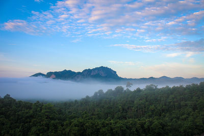 Scenic view of landscape against sky