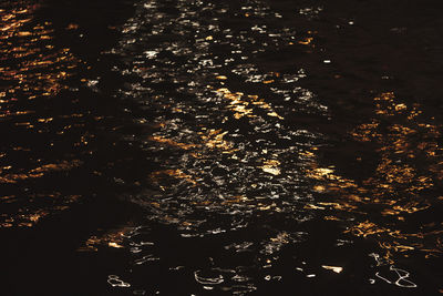 High angle view of illuminated trees at night