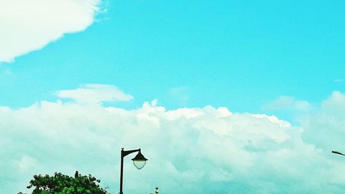 Low angle view of trees against sky