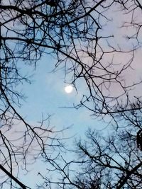 Low angle view of bare tree against sky