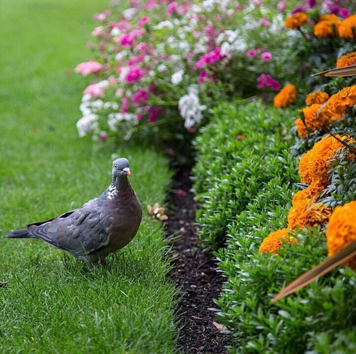 تصويري في حياة بارك بمدينة جده