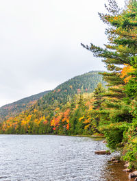 Scenic view of lake by trees against sky during autumn