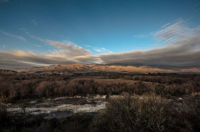 Scenic view of landscape against sky