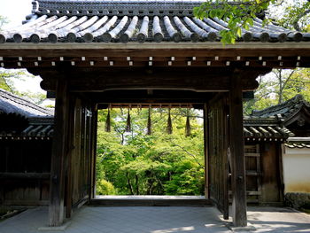 View of trees and roof