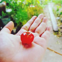 Close-up of hand holding strawberry