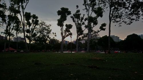Trees in park against sky during sunset