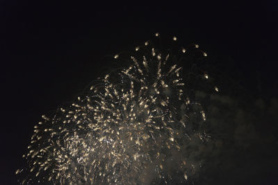 Low angle view of fireworks against sky at night