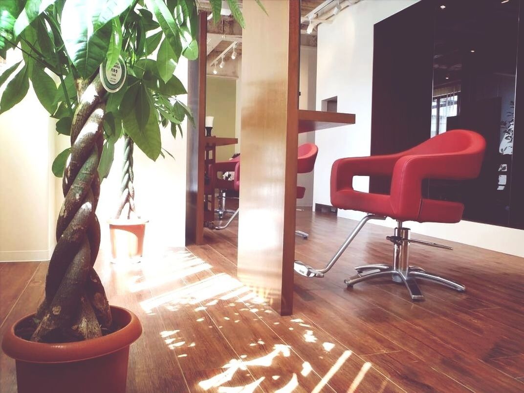 table, indoors, chair, absence, window, empty, built structure, architecture, home interior, sunlight, house, restaurant, potted plant, no people, wood - material, door, furniture, day, shadow, seat