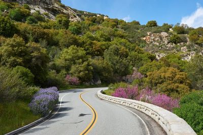 Road amidst trees against sky