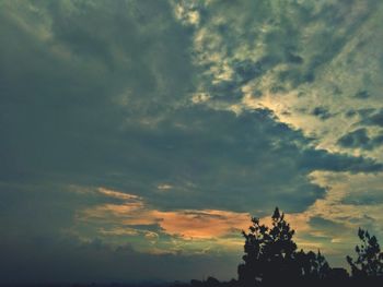 Low angle view of silhouette trees against sky