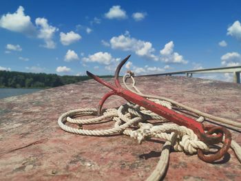 Close-up of snake on rope against sky