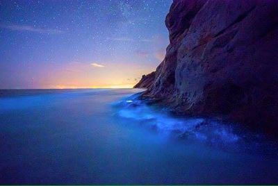 Scenic view of sea against sky at night