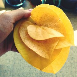 Close-up of hand holding yellow leaf