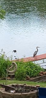 High angle view of birds perching on lake