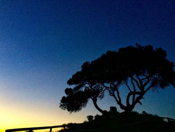 Low angle view of silhouette trees against clear sky at night