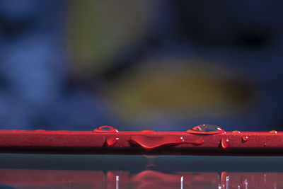 Close-up of wet red railing