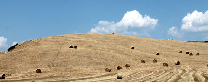 A view of the fields of tuscany, in italy