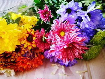 High angle view of purple flowering plants