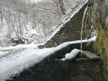 Frozen lake in forest during winter