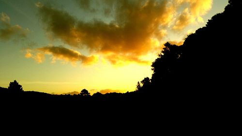 Silhouette trees against dramatic sky during sunset