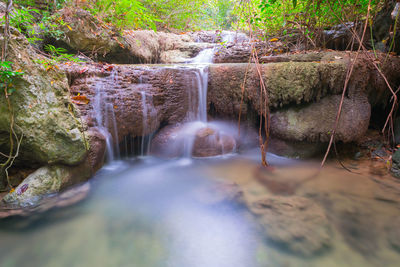 Scenic view of waterfall in forest