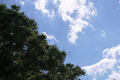 Low angle view of trees against cloudy sky