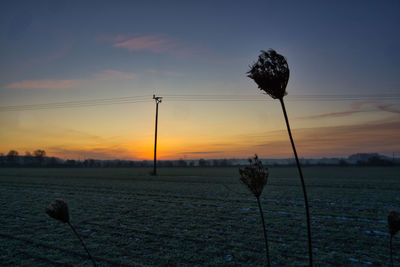 Silhouette trees on field against sky during sunset