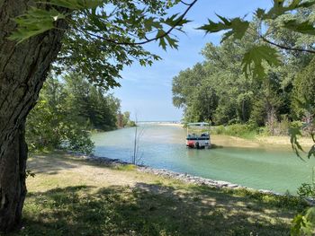 Scenic view of river amidst trees