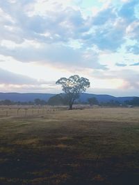 Scenic view of landscape against cloudy sky