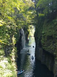 Scenic view of waterfall in forest