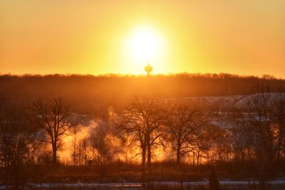 Bare trees on field against sky during sunset