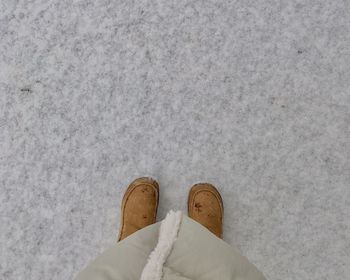 Low section of person standing on snow