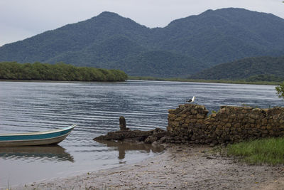 Seagull on stone wall by boat on lake against mountain with trees