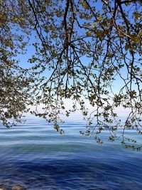 Scenic view of lake against clear sky